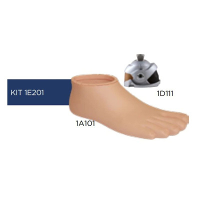 Dynastep + Multi-Axis Ankle + Malleolar Clip KIT