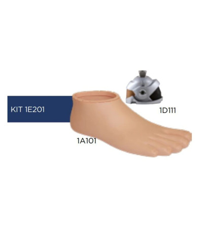 Dynastep + Multi-Axis Ankle + Malleolar Clip KIT